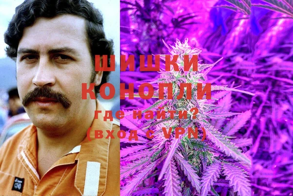 индика Армянск