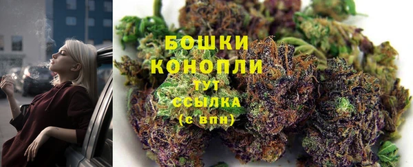 СК Аркадак