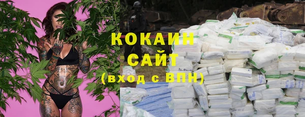 индика Армянск