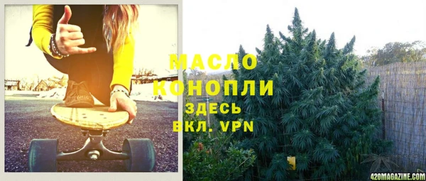 индика Армянск