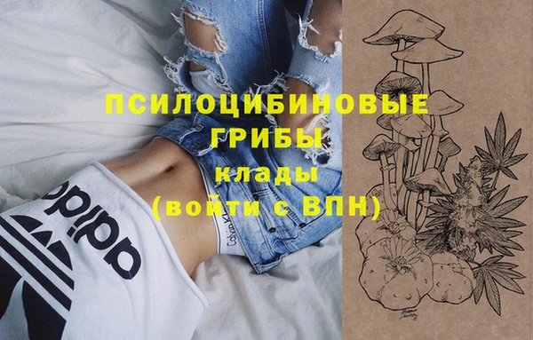 индика Армянск