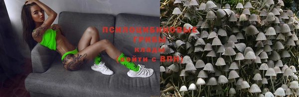 СК Аркадак