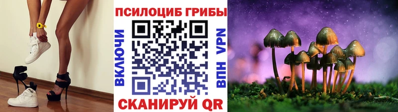 даркнет Telegram  Ладушкин  Галлюциногенные грибы мицелий  blacksprut ССЫЛКА 